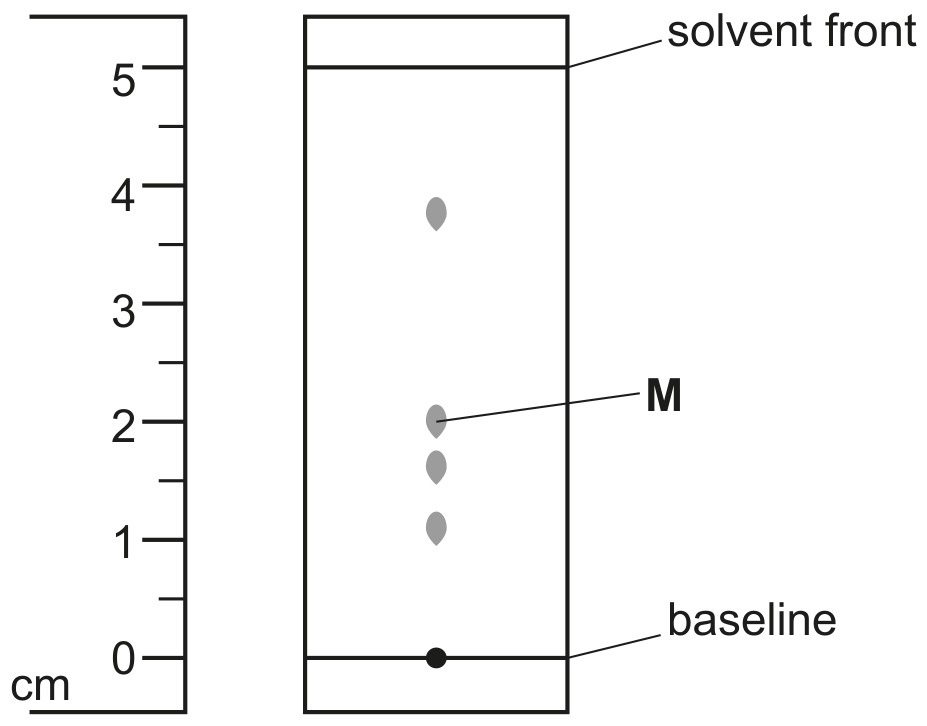 Fig. 6.1