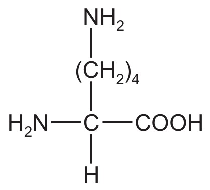 Fig. 6.2