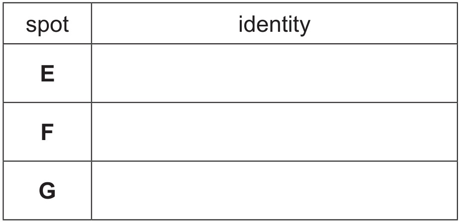 Table for Question 4 — CAIE A-Level Chemistry A2