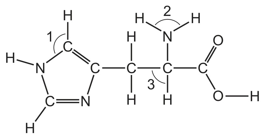 histidine