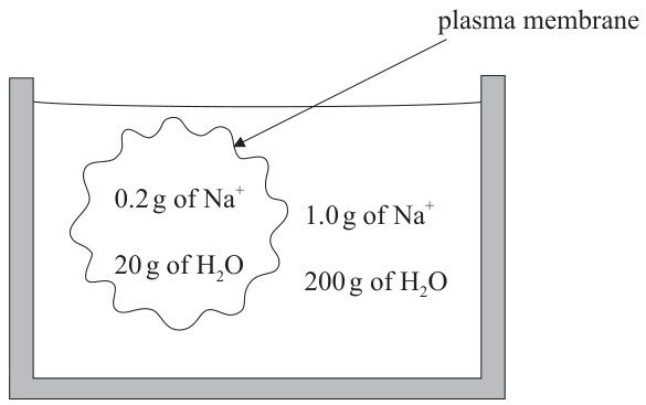 Figure for Question IB Biology SL B2.1.6 Channel Proteins Questions question 1 — IB Biology SL